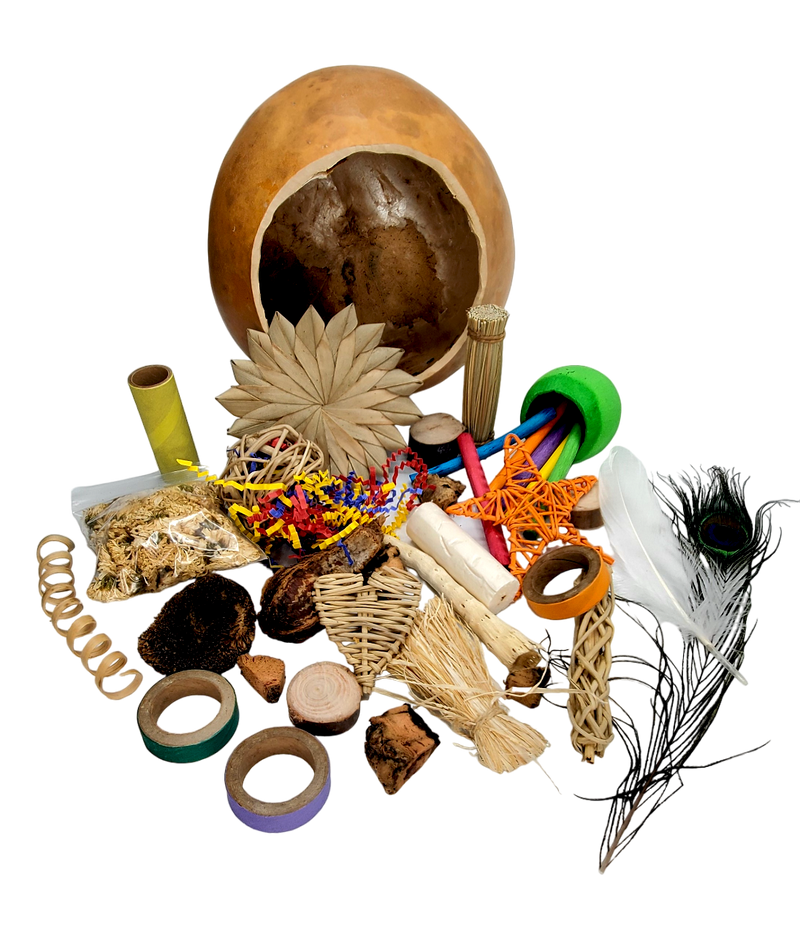 Texas Toy Box - Natural Foraging