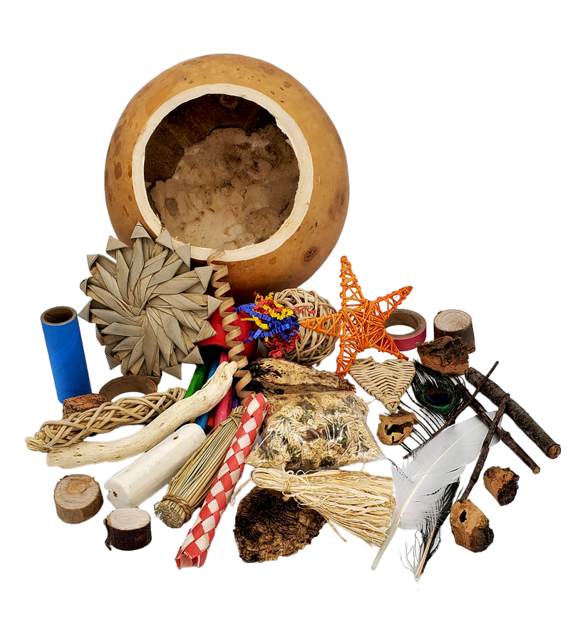 Texas Toy Box - Natural Foraging