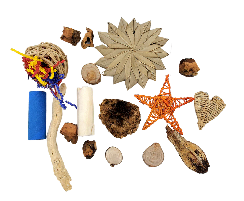 Texas Toy Box - Natural Foraging